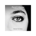 DAVID GILMOUR WITH ROMANY GILMOUR - BETWEEN TWO POINTS