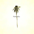 WATSON, PATRICK - WOODEN ARMS (DELUXE 2LP VINYL)
