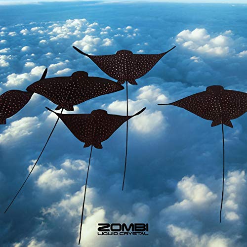 ZOMBI - LIQUID CRYSTAL (VINYL)