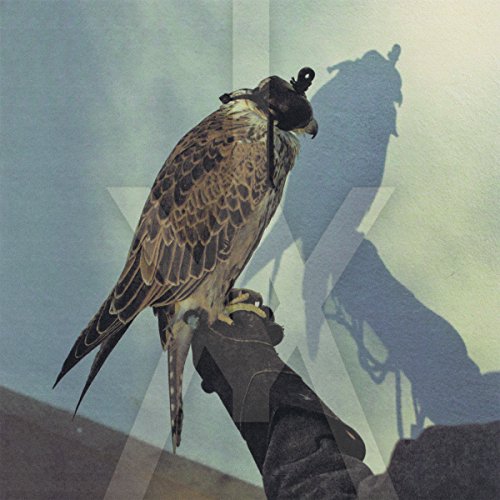 ICEAGE - YOU'RE NOTHING LP + DOWNLOAD