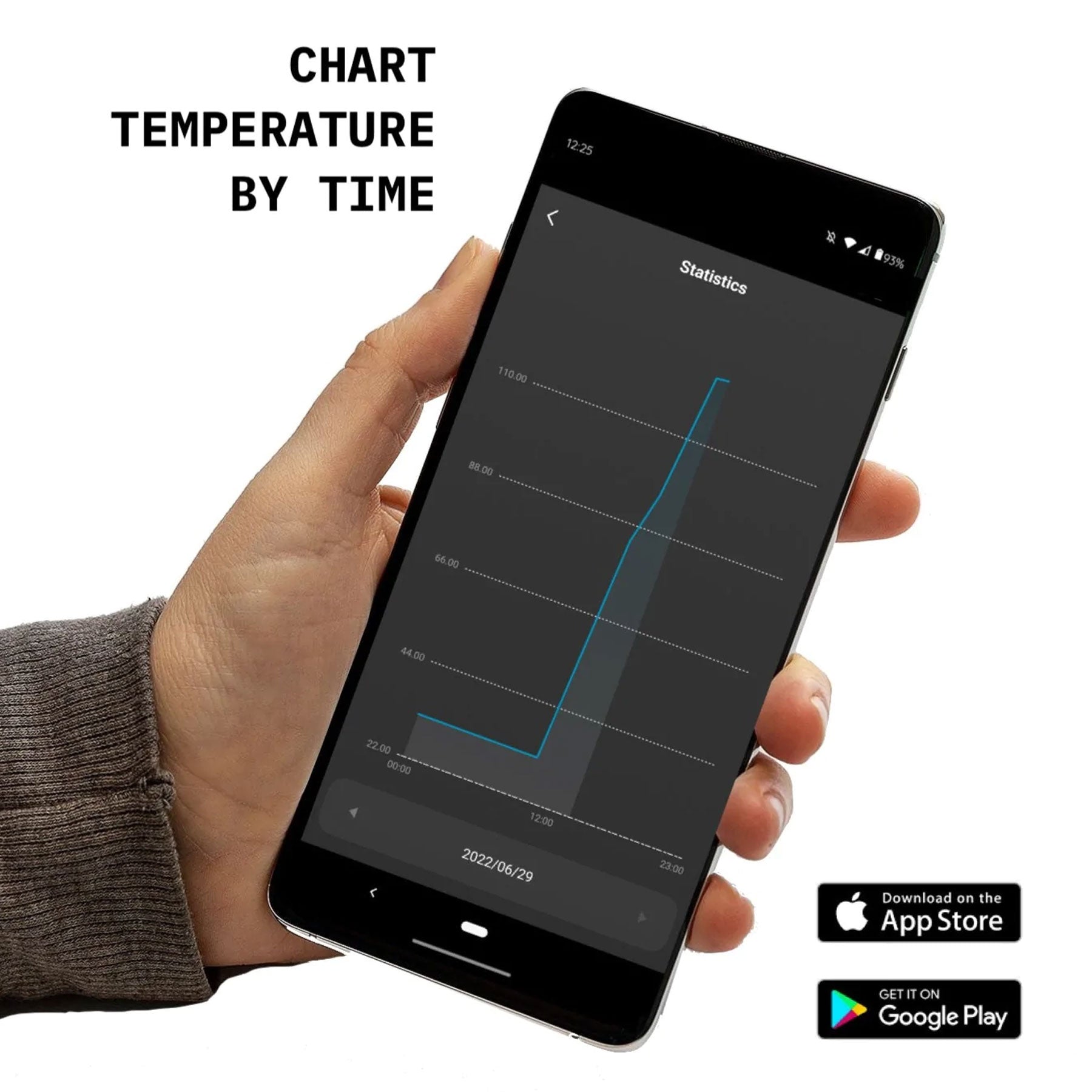Record Pi: Vinyl Record Flattener